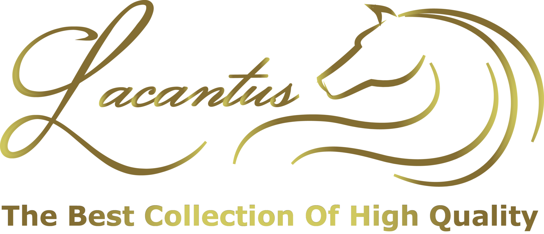 Lacantus Store -  -  - Lacantus Store