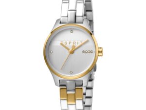 AUTHENTIC ESPRIT TIME Stainless Steel Sophisticated Watch