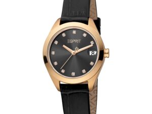 AUTHENTIC ESPRIT TIME Stainless Steel Premium Watch