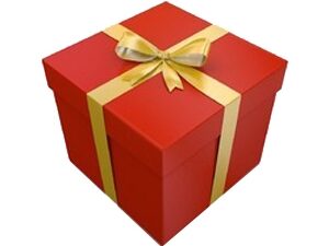 AUTHENTIC SUBSCRIPTIONS WRAPPING / CONFEZIONE REGALO PAQUET CADEAUX PAQUETE Designer Services