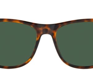 AUTHENTIC POLAROID SUNGLASSES Men Premium