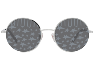 Authentic STING  Exclusive Sunglasses