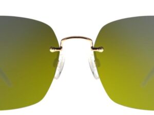 AUTHENTIC TOMMY HILFIGER EYEWEAR Exclusive Sunglasses