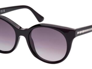 AUTHENTIC WEB EYEWEAR Sophisticated Sunglasses