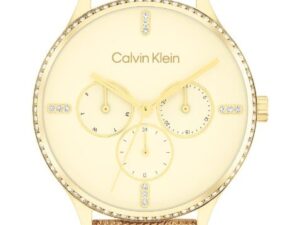 AUTHENTIC CK Calvin Klein CALVIN KLEIN Data Elegant Watch