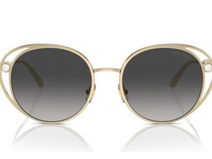 AUTHENTIC JIMMY CHOO Sophisticated Sunglasses