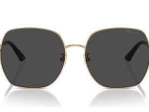 AUTHENTIC JIMMY CHOO High-End Sunglasses