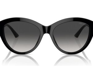 AUTHENTIC JIMMY CHOO Sophisticated Sunglasses