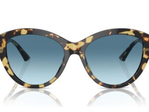 AUTHENTIC JIMMY CHOO Sophisticated Sunglasses