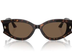 AUTHENTIC JIMMY CHOO High-End Sunglasses