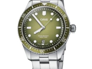 ORIS DIVERS SIXTY-FIVE High-End SS Bracelet Luxurious Luxury watch