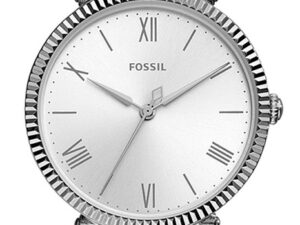 AUTHENTIC FOSSIL DAISY HAND Stainless Steel Top Quality Watch