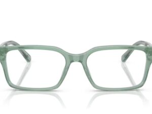 Authentic EMPORIO ARMANI  Designer Eyewear  – EMPORIO ARMANI