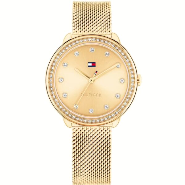 Authentic TOMMY HILFIGER Designer Watch  - TOMMY HILFIGER