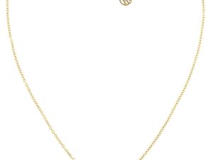 Authentic TOMMY HILFIGER  Women 43 mm Quartz Analog Designer Necklace  – TOMMY HILFIGER JEWELS