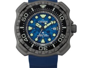 Authentic CITIZEN Exclusive Watch  – CITIZEN