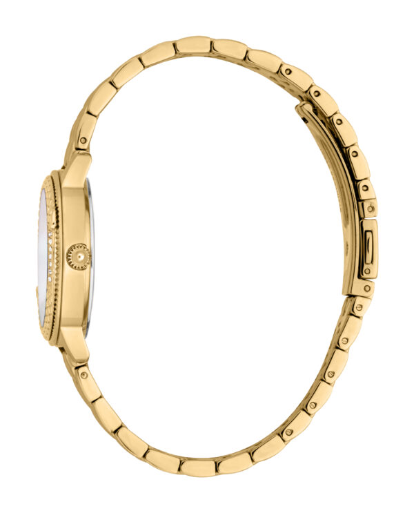 Authentic JUST CAVALLI TIME Women 30 mm SS IP Gold Seiko Movement VJ20 Top-Quality Wristwatch  - JUST CAVALLI TIME - Image 3