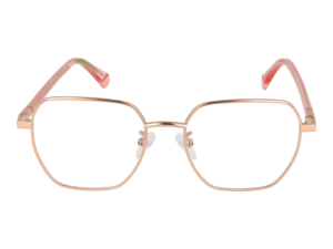 Authentic POLAROID FRAME Designer Eyewear  – POLAROID