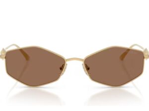 Authentic JIMMY CHOO Top-Quality Eyewear  – JIMMY CHOO